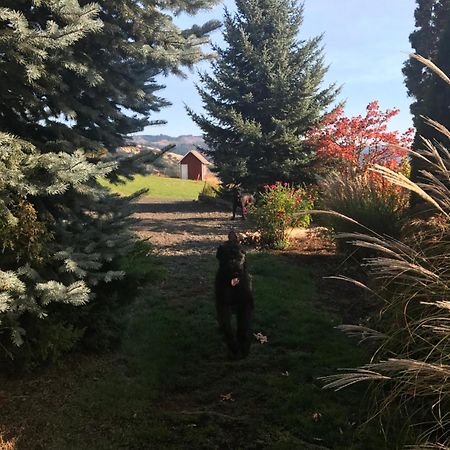 Husum Highlands Bed And Breakfast Luaran gambar