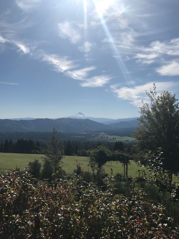 Husum Highlands Bed And Breakfast Luaran gambar
