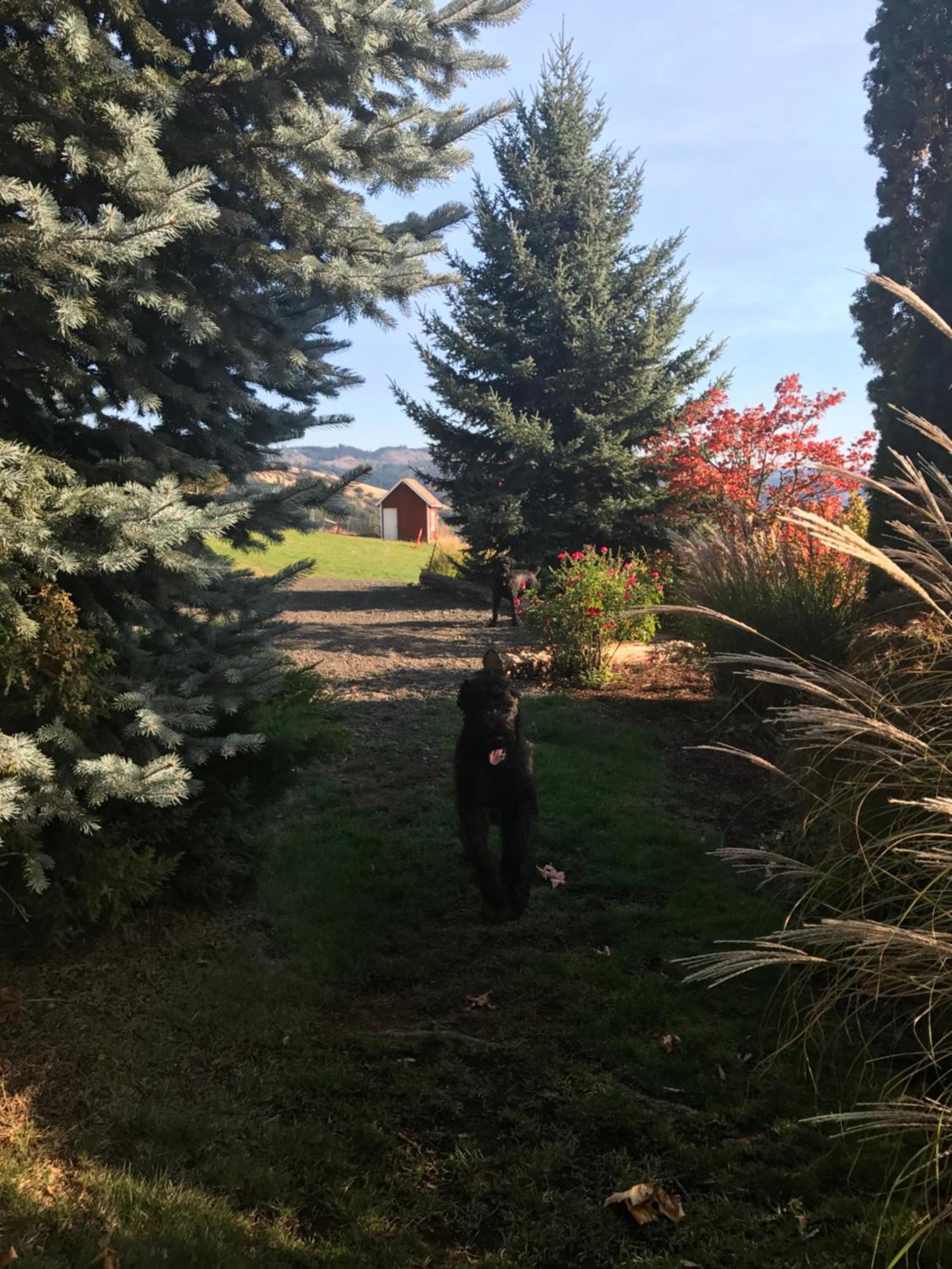 Husum Highlands Bed And Breakfast Luaran gambar